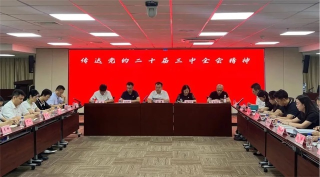 广州人才集团党委传达学习贯彻党的二十届三中全会精神