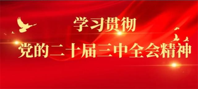 为什么要建立以创新能力、质量、实效、贡献为导向的人才评价体系